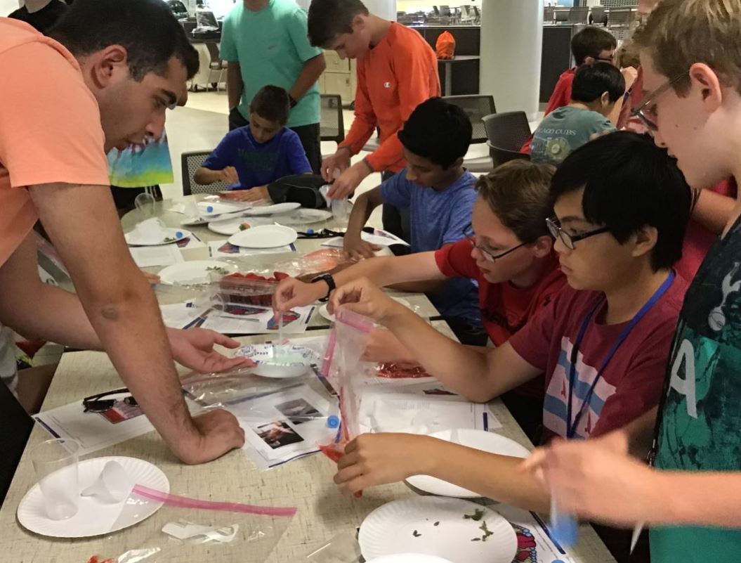 Extracting DNA from Strawberries