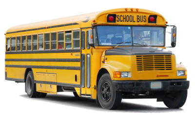 Bus Bus